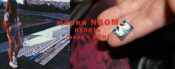 ГАЛЛЮЦИНОГЕННЫЕ ГРИБЫ Иннополис