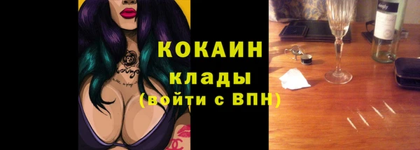 ГАЛЛЮЦИНОГЕННЫЕ ГРИБЫ Иннополис