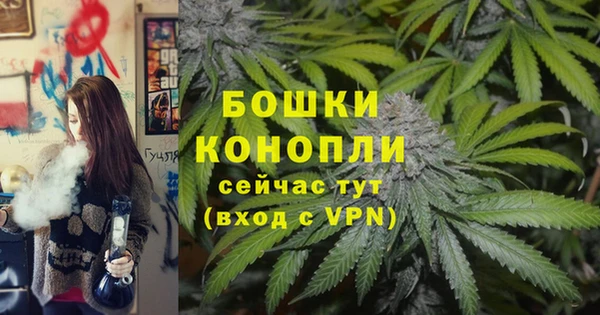 ГАЛЛЮЦИНОГЕННЫЕ ГРИБЫ Иннополис