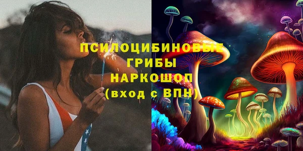ГАЛЛЮЦИНОГЕННЫЕ ГРИБЫ Иннополис