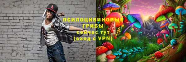 бошки Инта