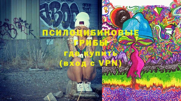ГАЛЛЮЦИНОГЕННЫЕ ГРИБЫ Иннополис