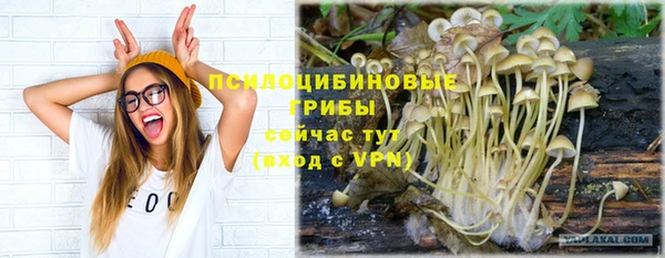 бошки Инта