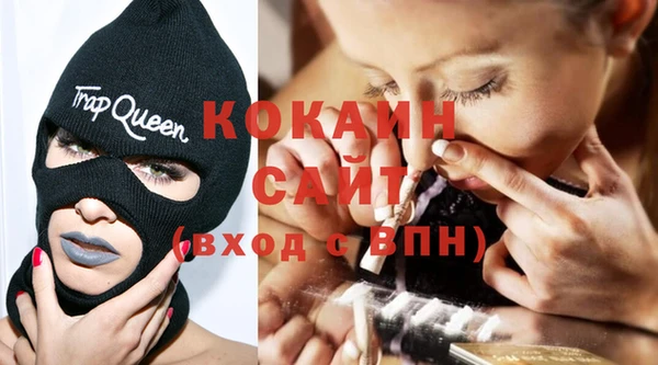 бошки Инта