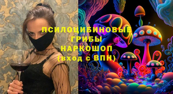 ГАЛЛЮЦИНОГЕННЫЕ ГРИБЫ Иннополис