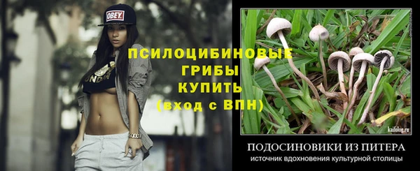 бошки Инта
