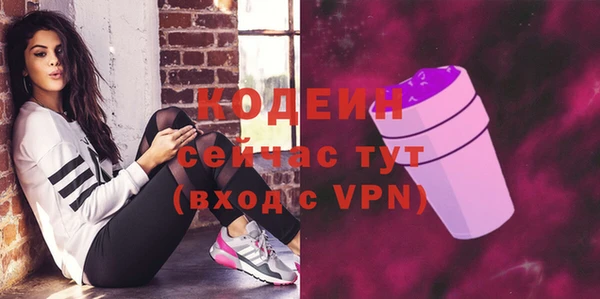бошки Инта